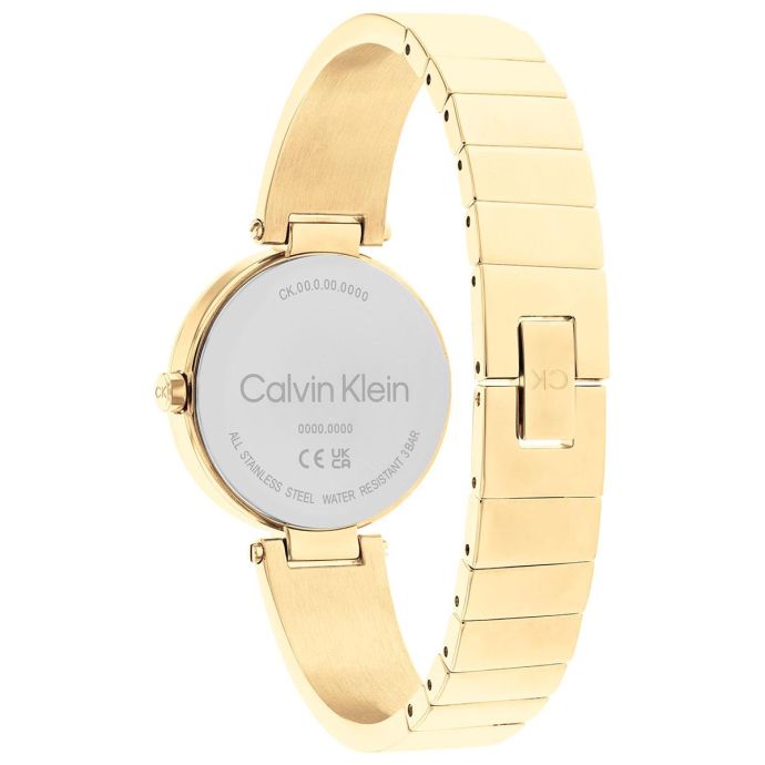 Calvin Klein CK25200309 Kadın Kol Saati - 3